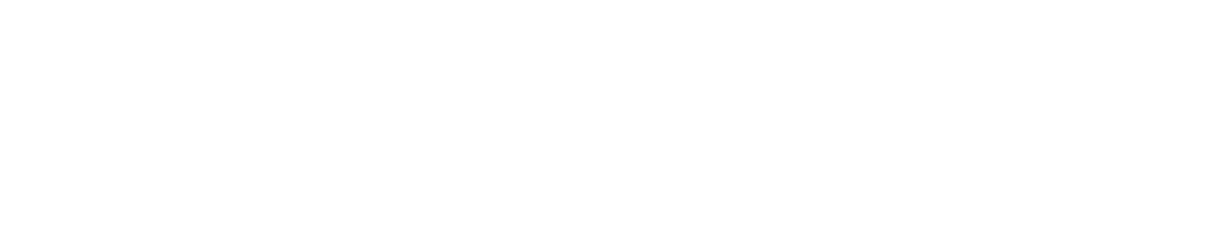 TiNYiNDiE